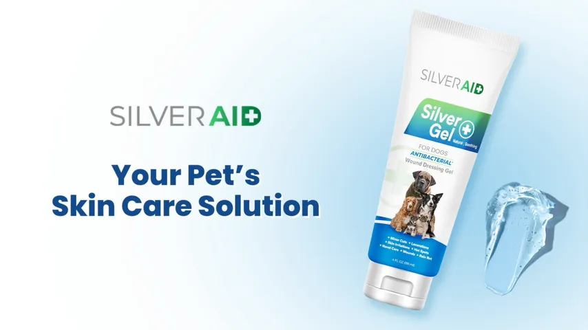 The SilverAid Silver Gel tube for dogs — Your Pet's Skin Care Solution